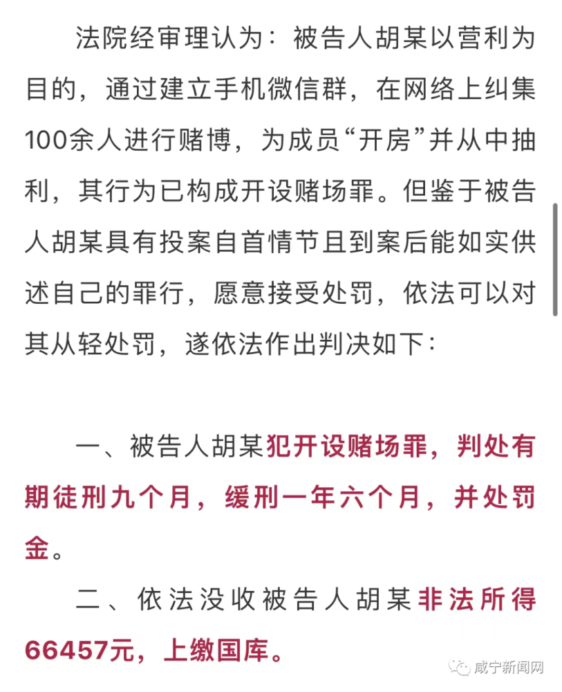 一肖一码一一肖一子深圳,揭秘真相与警惕犯罪.精选解释解答落实